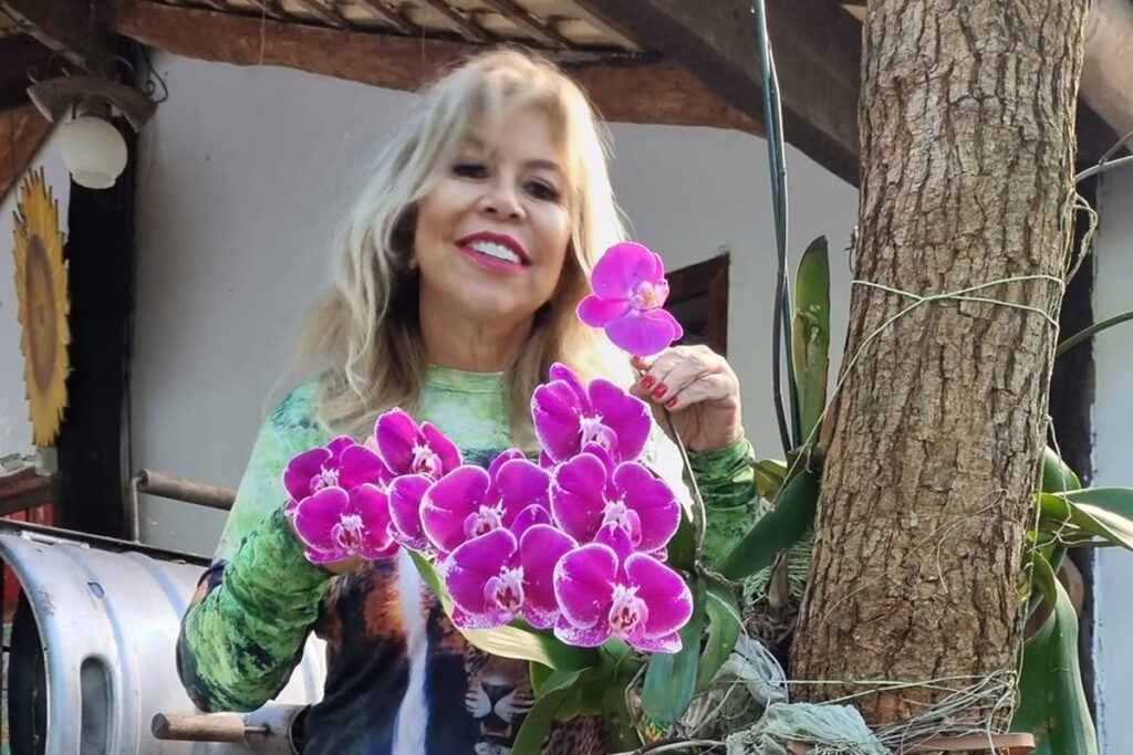 quem-era-lauristela-guimaraes,-jornalista-que-morreu-apos-cancer-grave