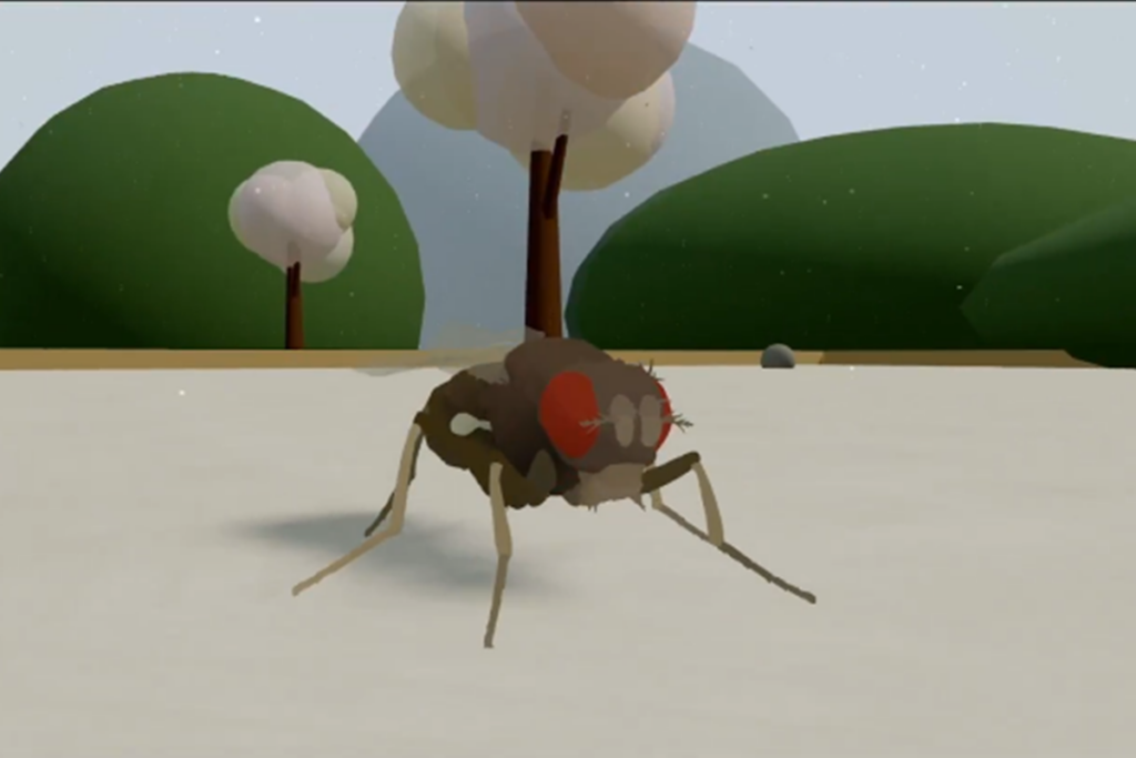 cientistas-criam-1a-replica-de-cerebro-de-mosca-em-simulacao-virtual