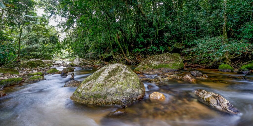 plano-busca-fortalecer-sistema-nacional-do-meio-ambiente-ate-2036