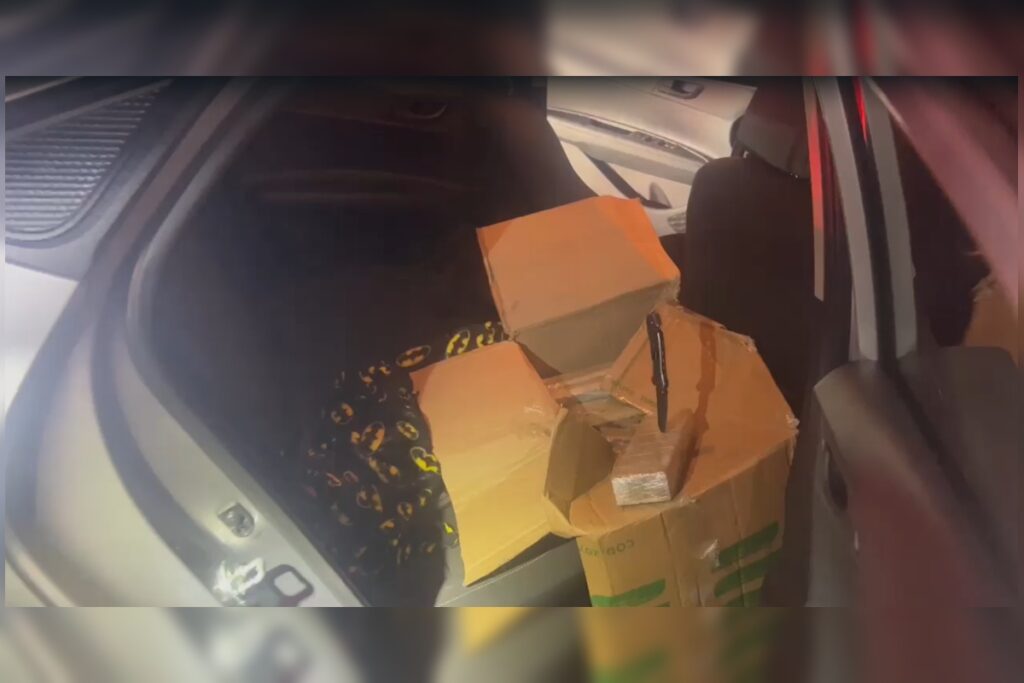 prf-prende-motorista-com-160-kg-de-maconha-em-rodovia.-veja-video