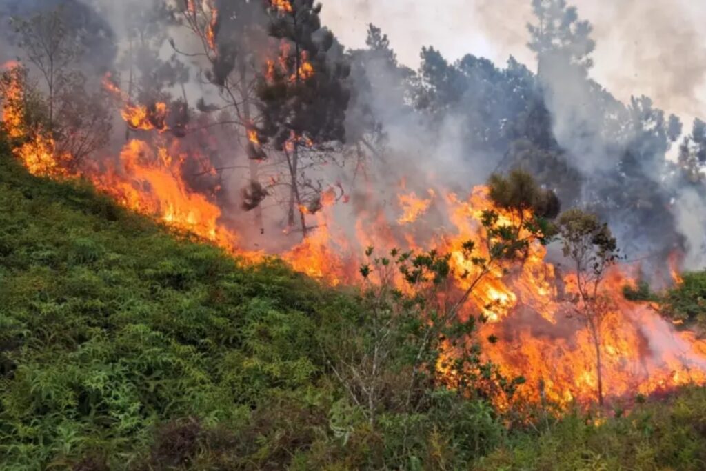os-trabalhadores-invisiveis-do-clima-(por-mariana-caminha)