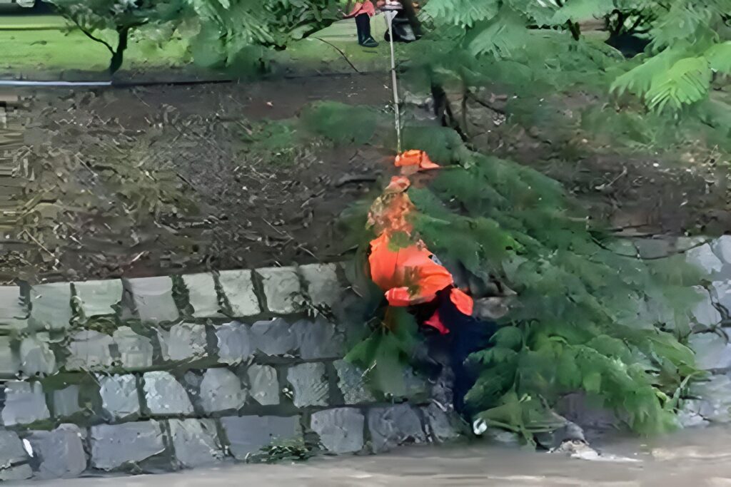 mg:-homem-bebado-cai-em-rio-e-se-salva-por-pouco-gracas-a-uma-arvore.-video