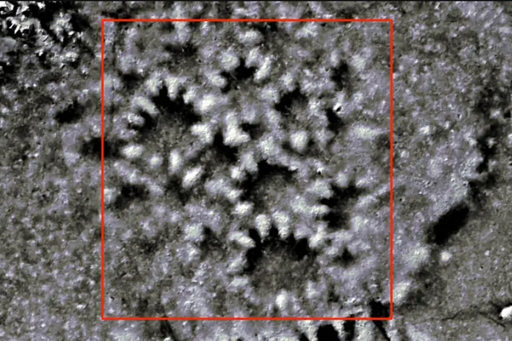 arqueologia-na-amazonia-ganha-forca-com-uso-tecnologia