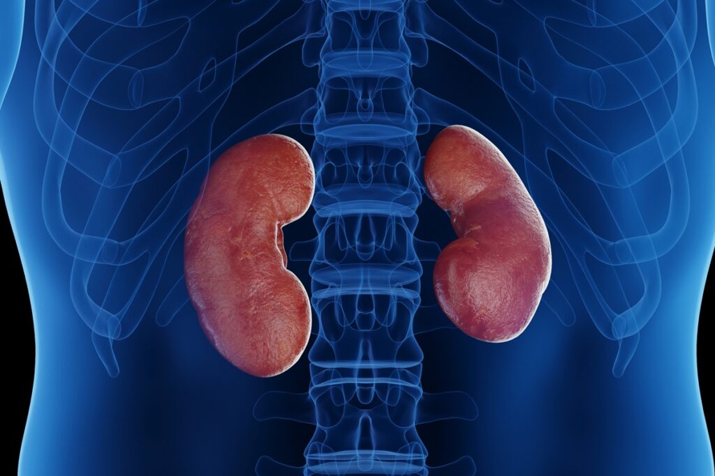 nefrologista-cita-fruta-a-ser-evitada-por-quem-tem-doencas-nos-rins