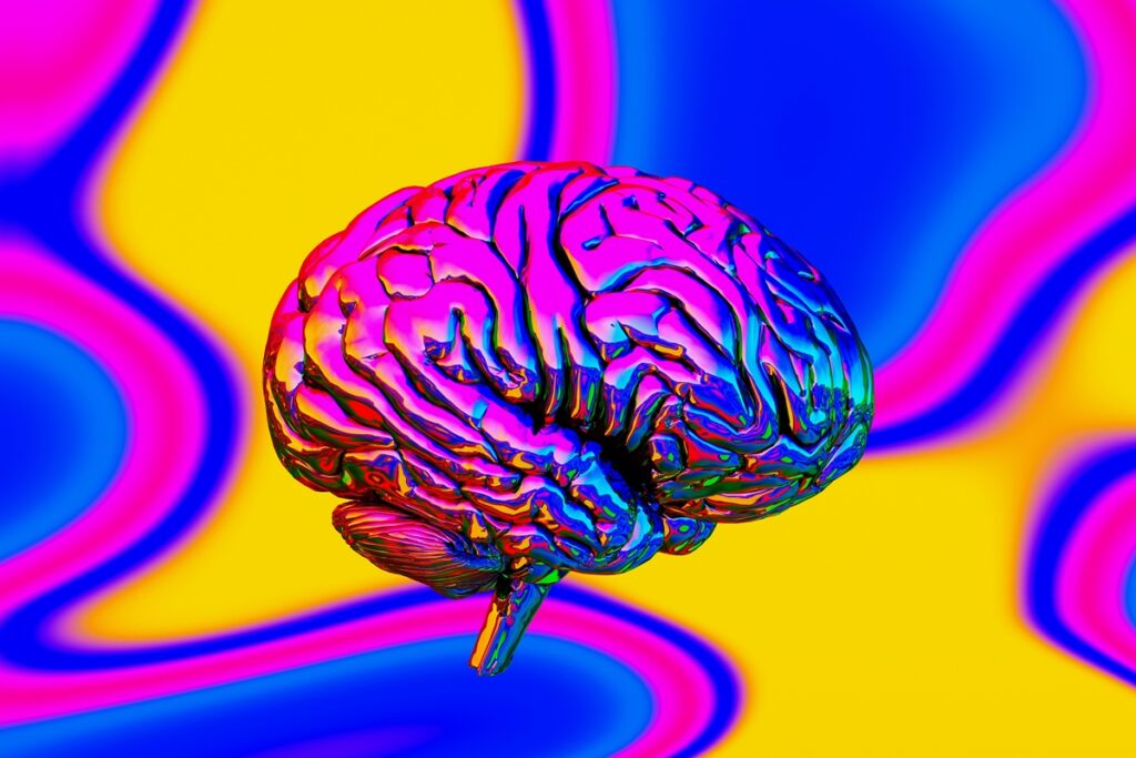 bacteria-intestinal-pode-estar-ligada-a-perda-de-memoria,-diz-estudo