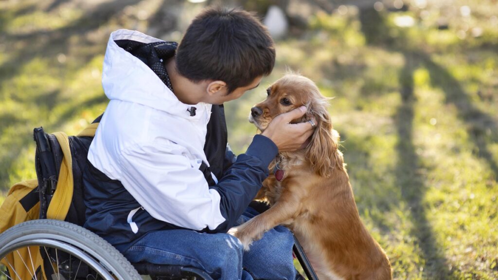 8-dicas-infaliveis-para-estimular-a-inteligencia-do-seu-cachorro