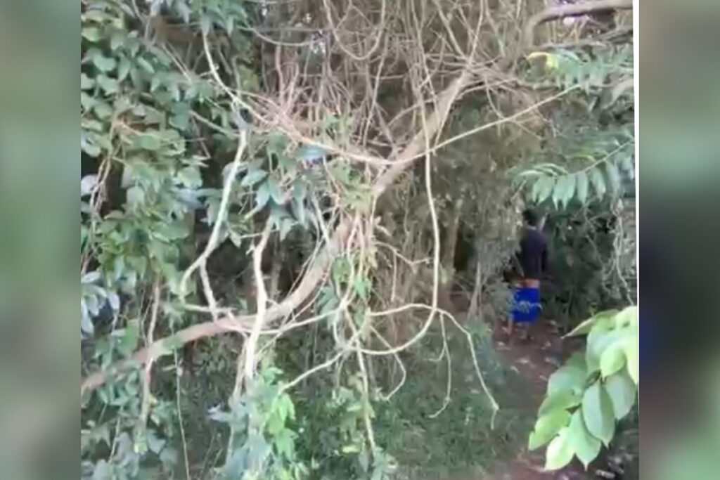 prefeitura-toma-atitude-apos-bosque-virar-“motel-ecologico”-com-suruba.-veja-video