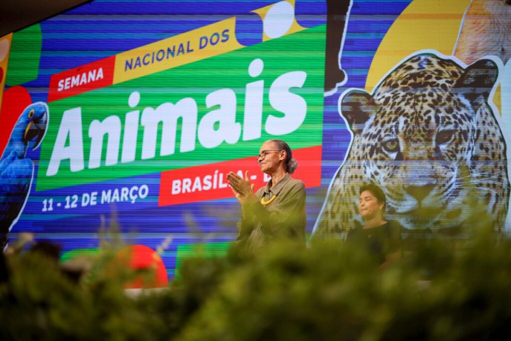 protecao-animal:-entenda-o-que-muda-na-legislacao-sobre-maus-tratos
