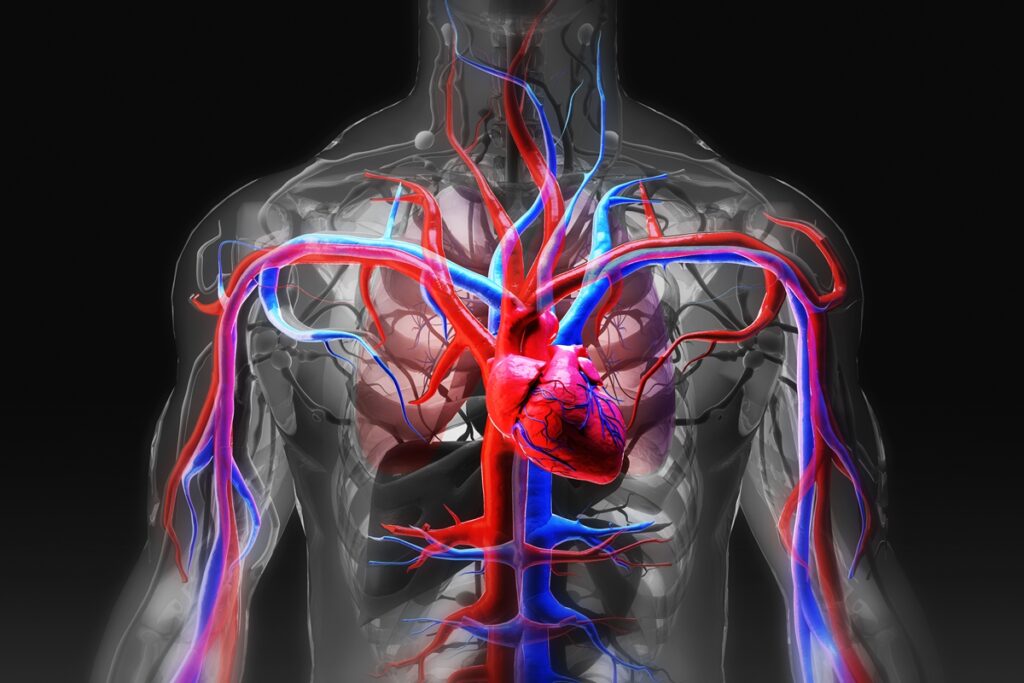 habitos-considerados-saudaveis,-mas-que-podem-ser-ruins-para-o-coracao