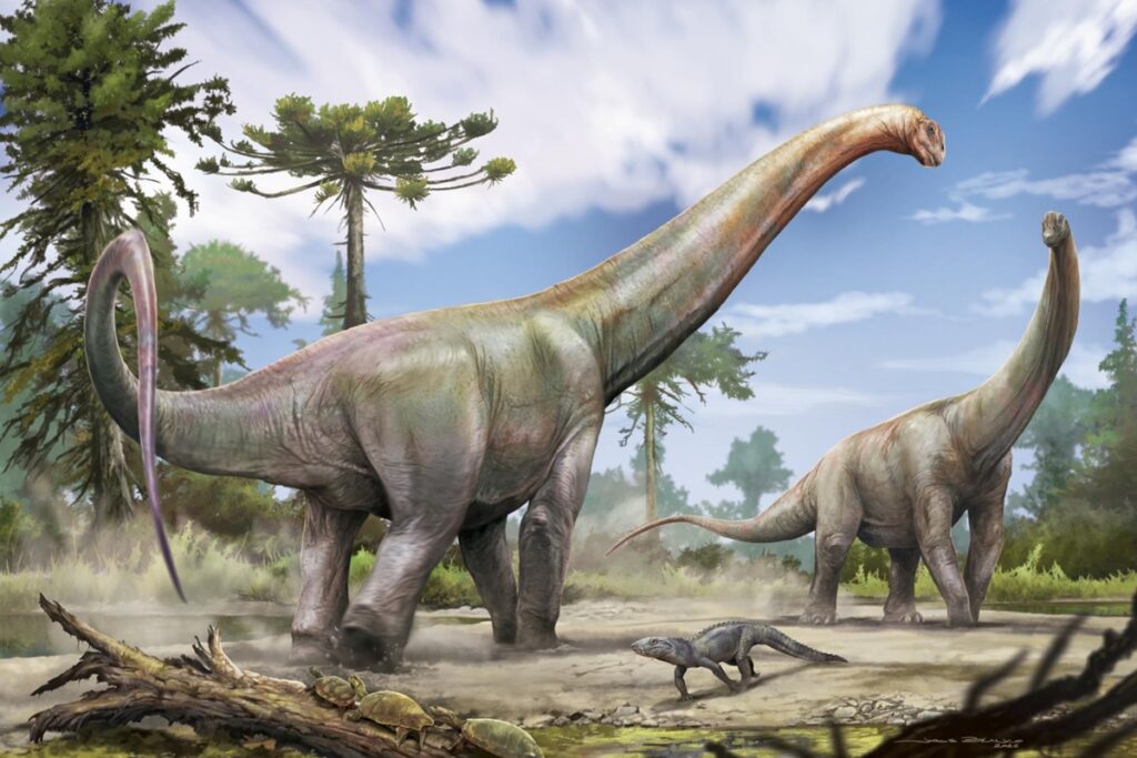 dinossauro-gigante-descoberto-no-maranhao-indica-ligacao-com-a-europa
