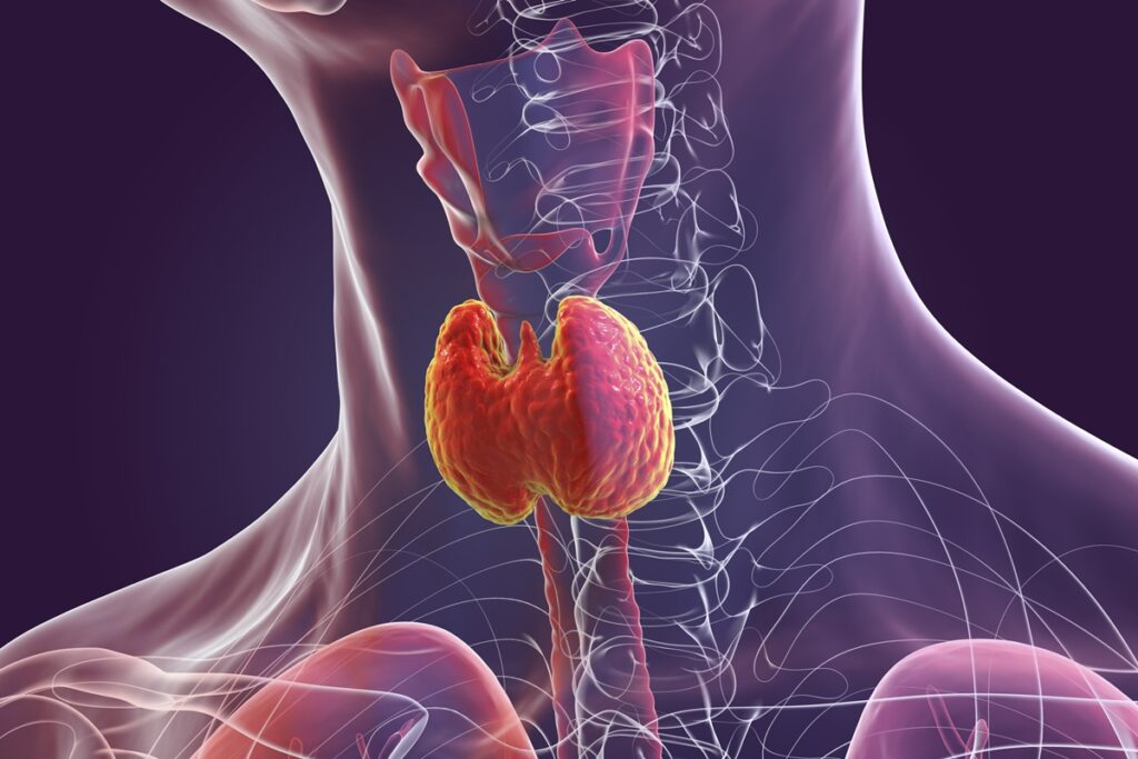 endocrinologista-explica-se-e-perigoso-ter-nodulos-na-tireoide
