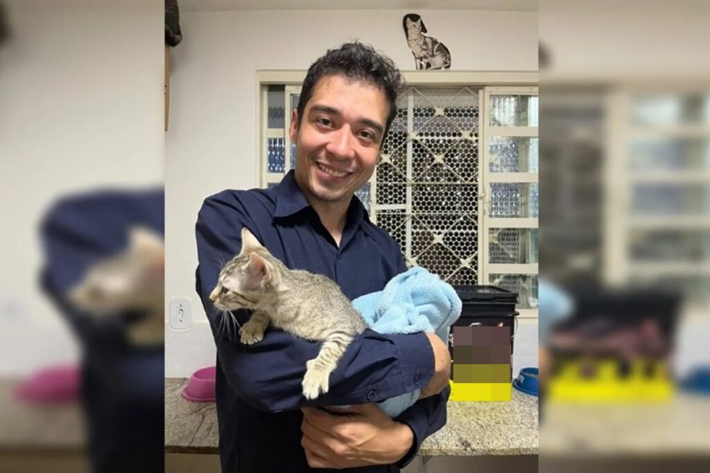 apos-“pagar-de-doido”,-psicologo-que-matou-17-gatos-passa-em-exame-de-sanidade