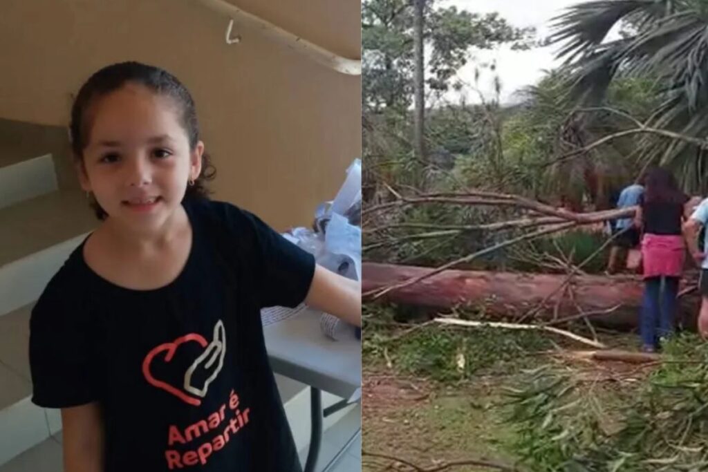 queda-de-arvore:-mpsp-pede-condenacao-de-cidade-apos-morte-de-menina