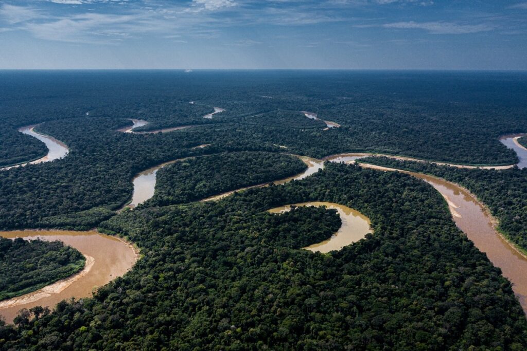 como-desmatamento-modifica-a-cadeia-alimentar-dos-igarapes-da-amazonia