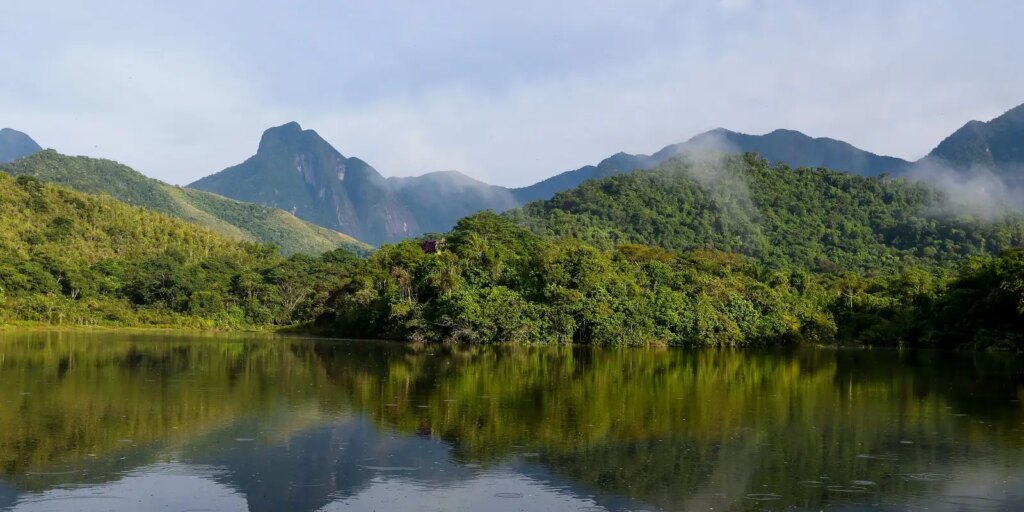 qualidade-dos-rios-da-mata-atlantica-continua-precaria,-aponta-estudo