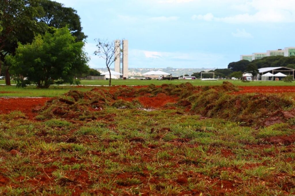 mpc-quer-responsabilizacao-de-osc-por-danos-ao-gramado-da-esplanada