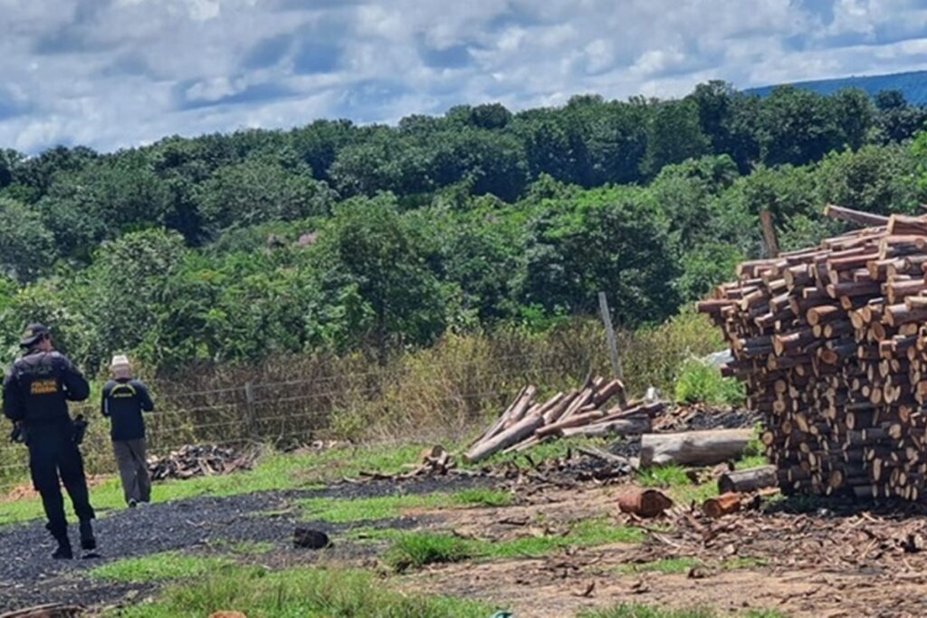 pf-resgata-12-trabalhadores-em-situacao-analoga-a-escravidao