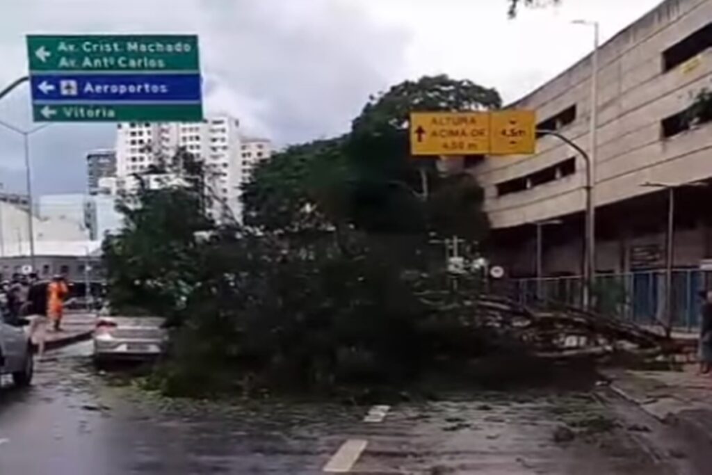 chuva-forte-causa-alagamentos,-queda-de-arvores-e-deixa-um-morto-em-bh.-veja-video