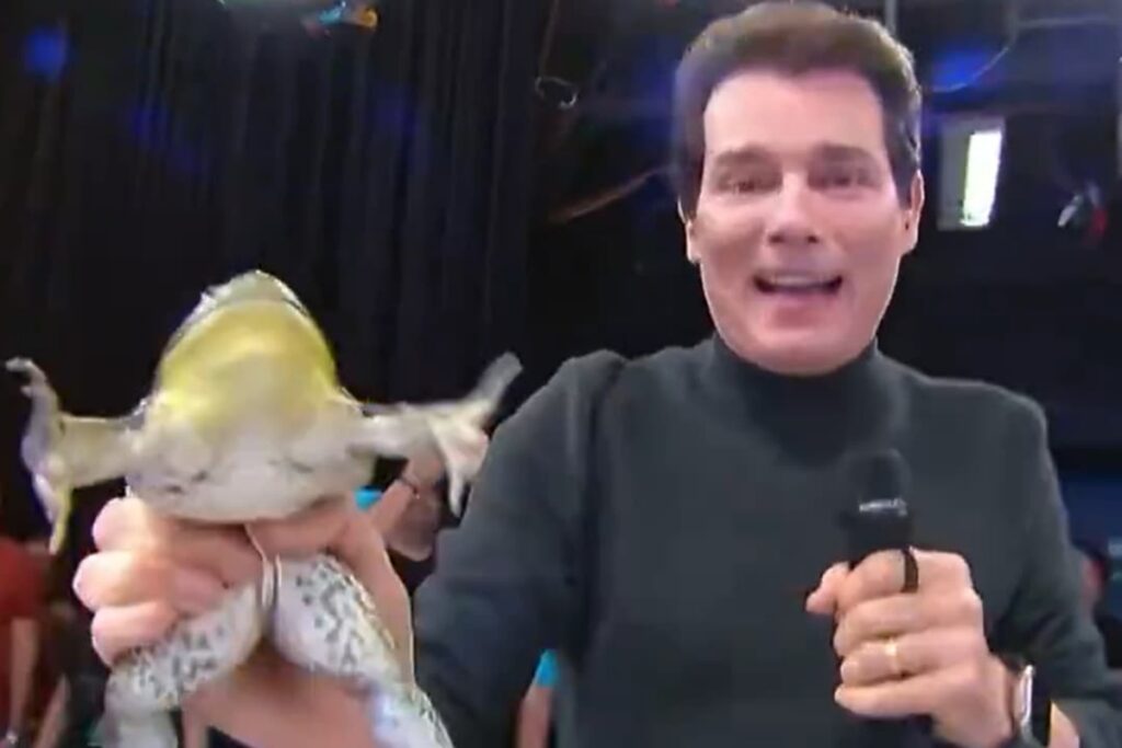 celso-portiolli-corre-atras-de-perereca-ao-vivo-no-sbt.-veja-video