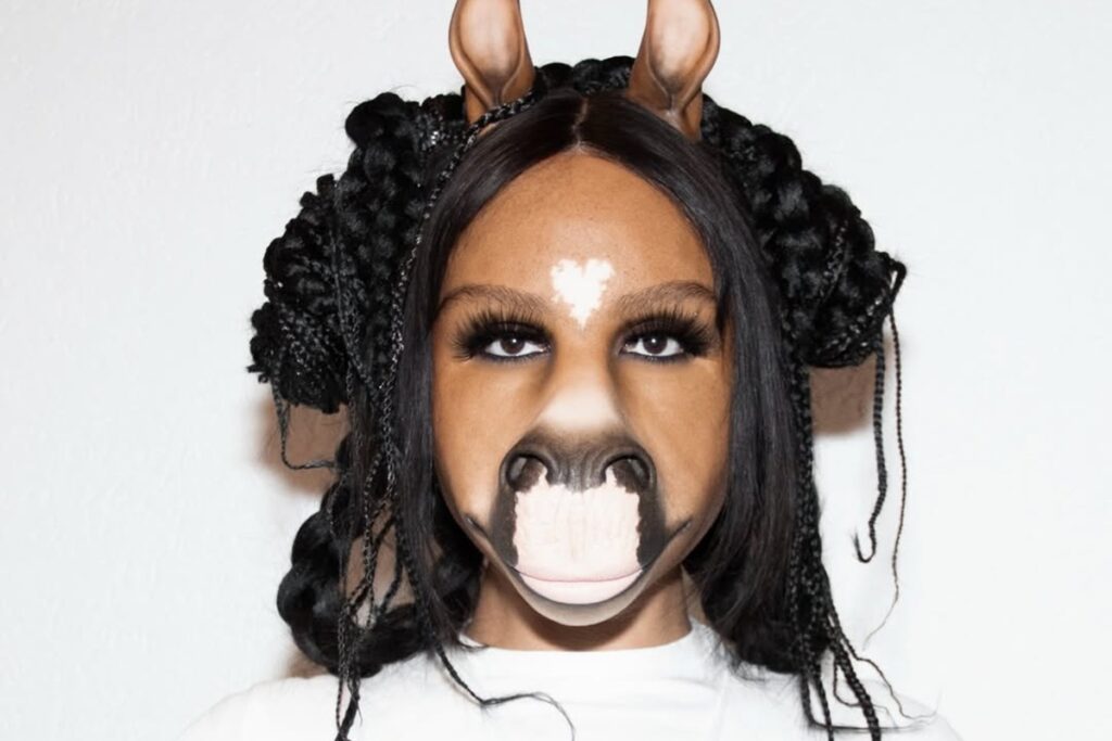 quem-e-horsegiirl,-dj-therian-“metade-cavalo”,-que-tocou-no-lolla