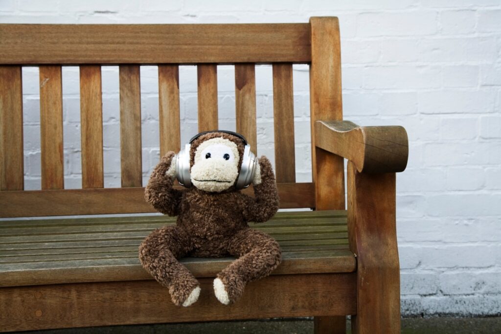 humanos-e-primatas-compartilham-gosto-musical,-aponta-estudo