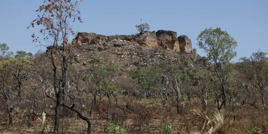pesquisa-com-ia-identifica-terras-agricolas-abandonadas-no-cerrado