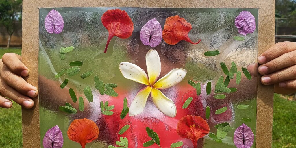 tedxamazonia-2026-sera-realizado-pela-1a-vez-fora-do-brasil