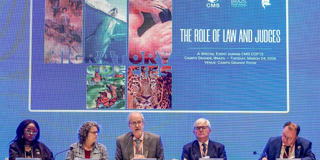 bonito-vai-sediar-a-primeira-vara-ambiental-com-foco-no-pantanal