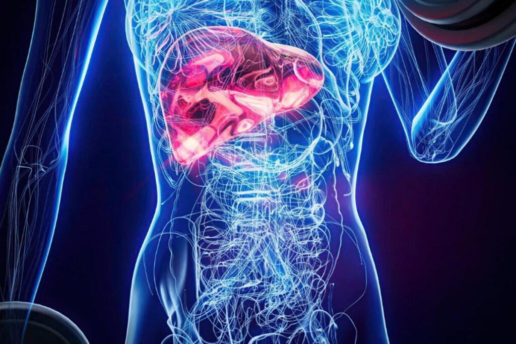 3-alimentos-ajudam-a-reduzir-a-gordura-no-figado-e-eliminam-toxinas