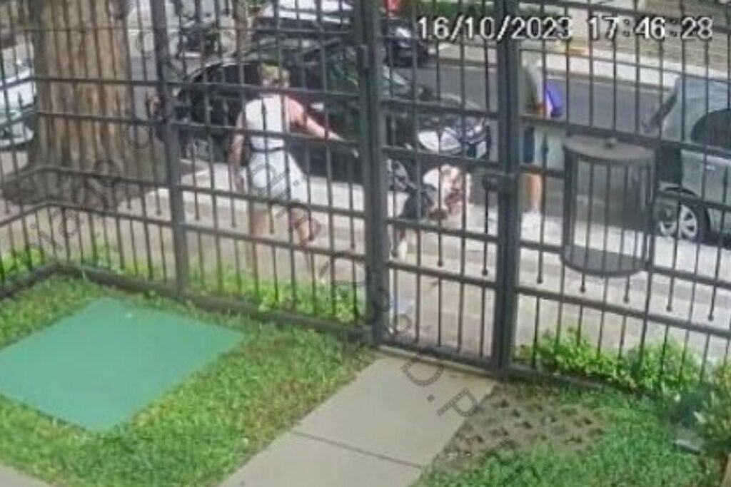 homem-que-agrediu-irma-de-zanin-e-condenado-a-servicos-comunitarios