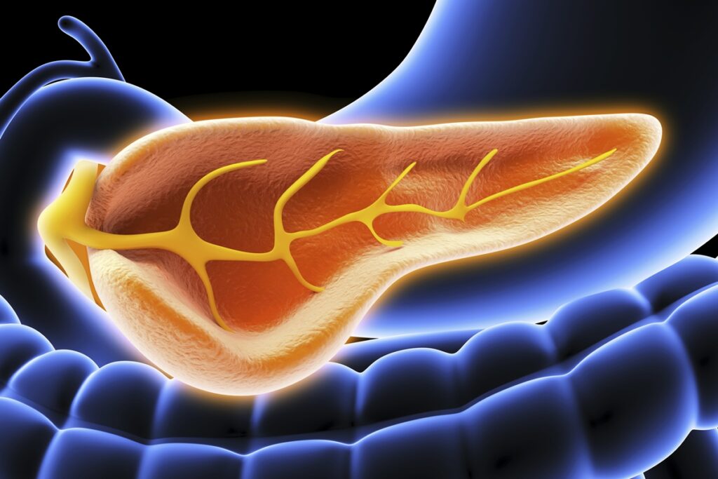 endocrinologista-aponta-o-que-os-picos-de-glicose-provocam-no-pancreas