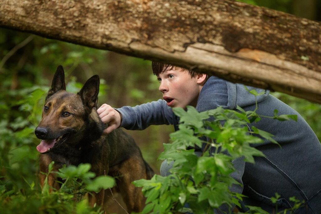 filme-max:-o-cao-heroi-e-baseado-na-historia-de-um-cachorro-real?