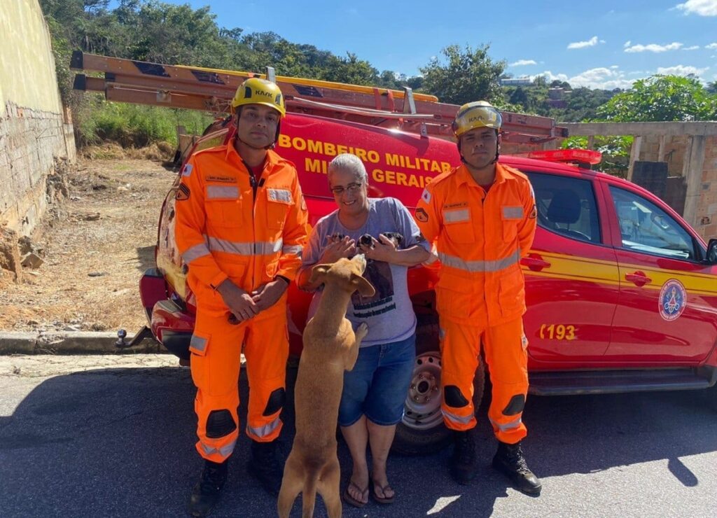 bombeiros-resgatam-cadela-e-3-filhotes-recem-nascidos-de-buraco-em-mg.-video