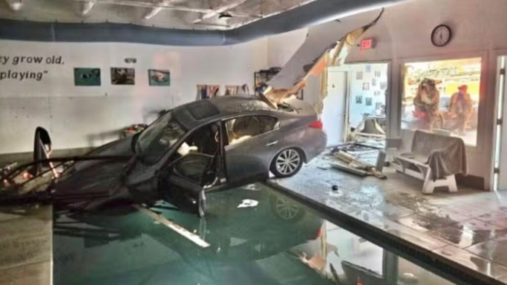 motorista-atinge-centro-de-reabilitacao-animal-apos-confundir-marchas