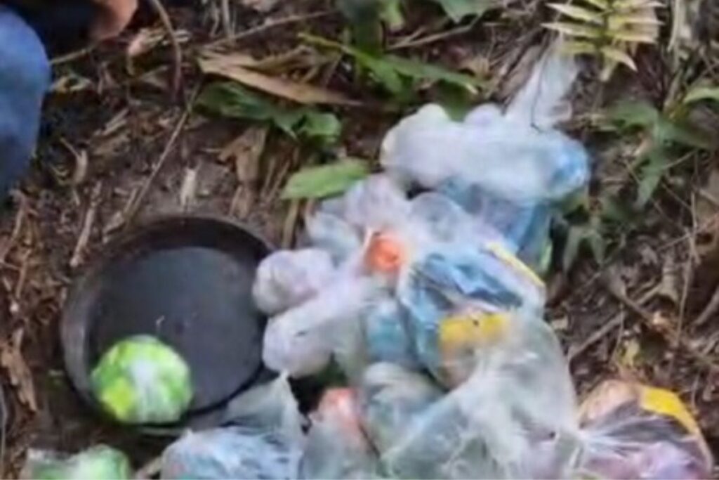 nucleo-do-pcc-alvo-da-policia-camuflava-transacoes-do-trafico-com-pix