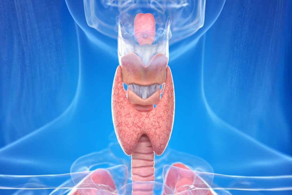 o-que-picos-de-glicose-podem-causar-a-tireoide-a-curto-e-longo-prazos