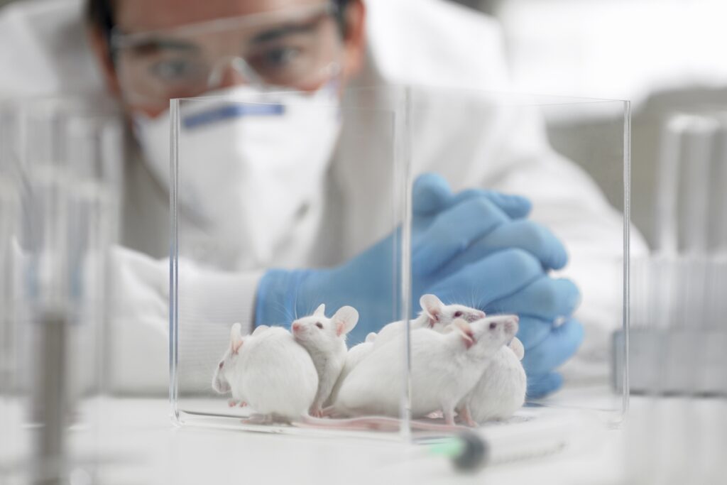 tratamento-experimental-reverte-sintomas-de-alzheimer-em-ratos