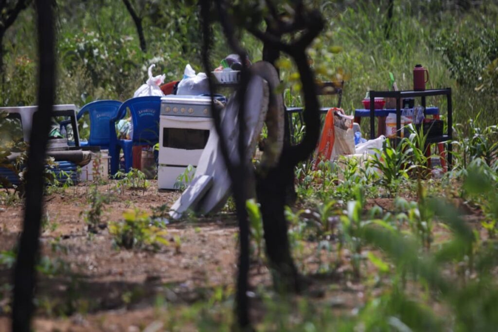 invasao-na-serrinha-do-paranoa:-icmbio-ve-indicios-de-trabalho-escravo.-veja-video