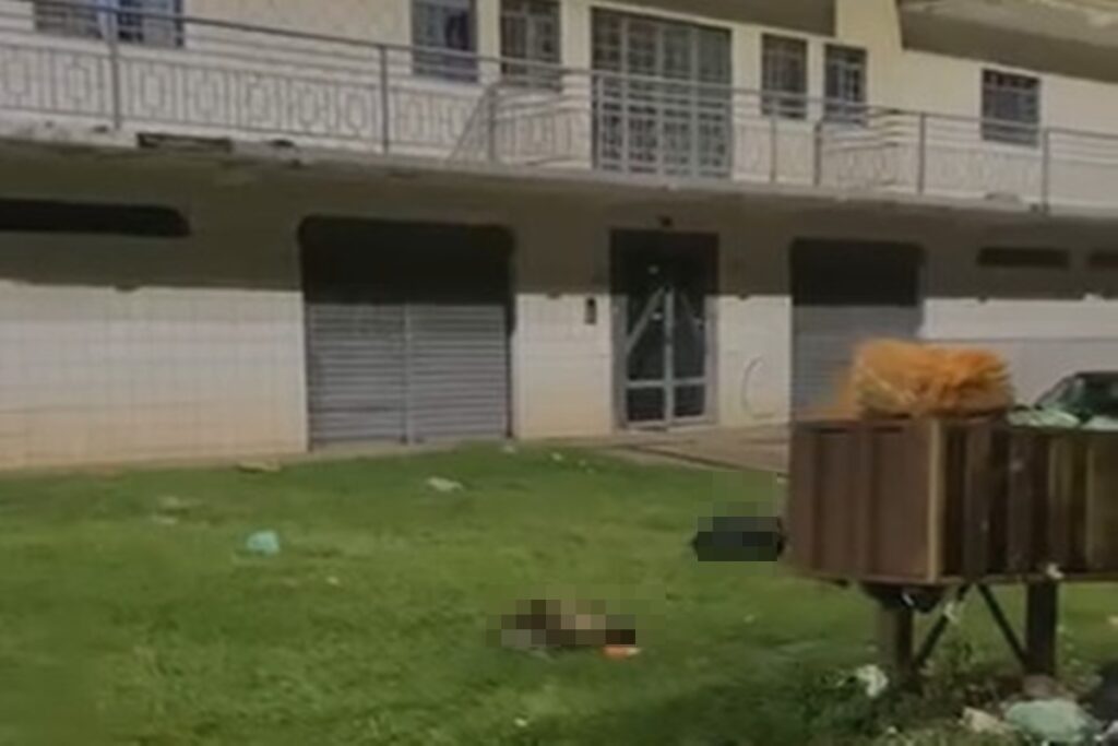 animais-decapitados-e-mutilados-sao-bode-e-cabra,-confirma-pcdf