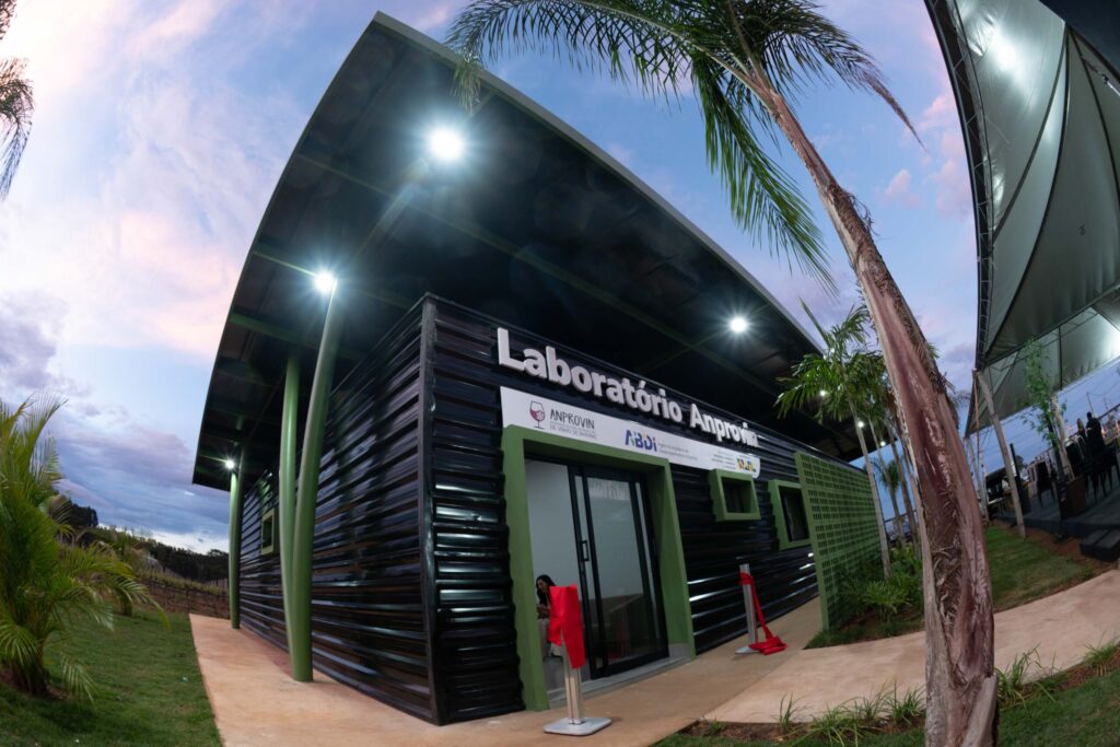 laboratorio-pioneiro-impulsiona-producao-do-vinho-no-centro-oeste.-veja-video