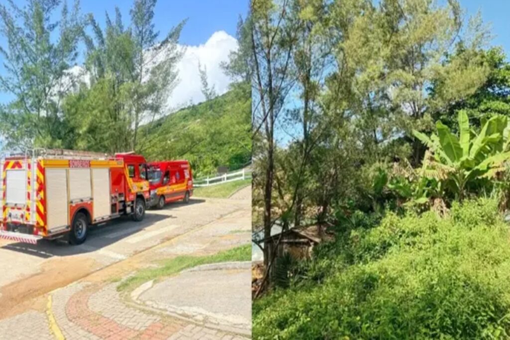 sc:-pai-e-filha-uruguaios-sofrem-descarga-eletrica-e-morrem-em-trilha