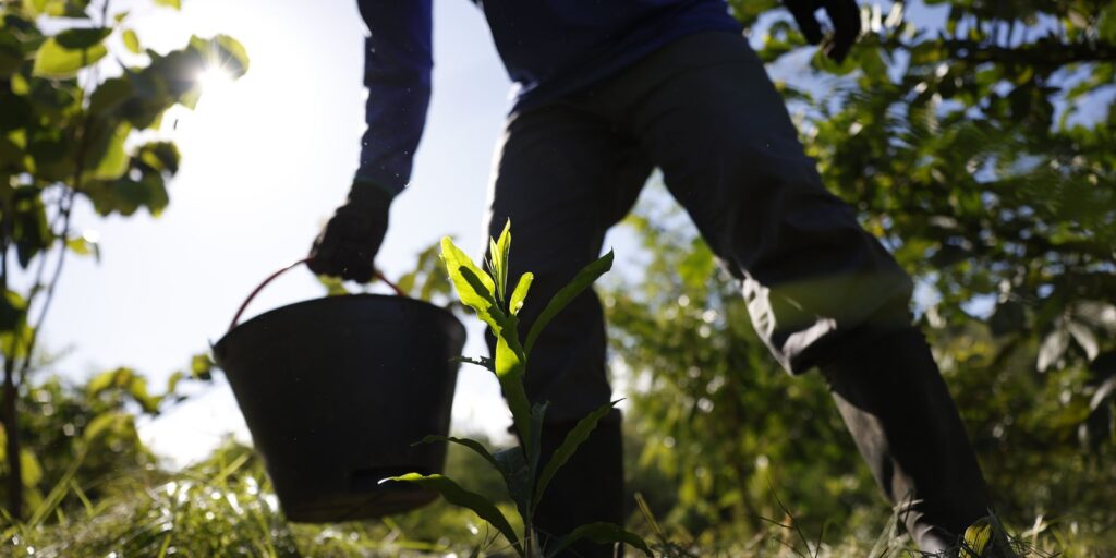 governo-apresenta-plano-para-desenvolver-bioeconomia-no-pais
