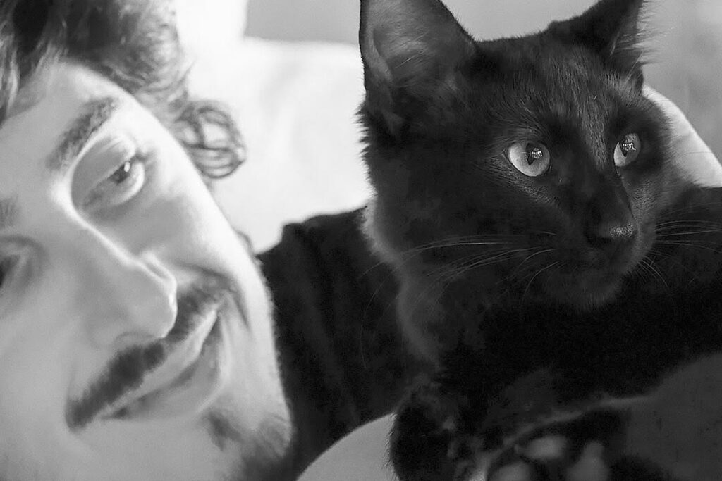 gato-de-felipe-castanhari-morre-envenenado-e-youtuber-faz-alerta