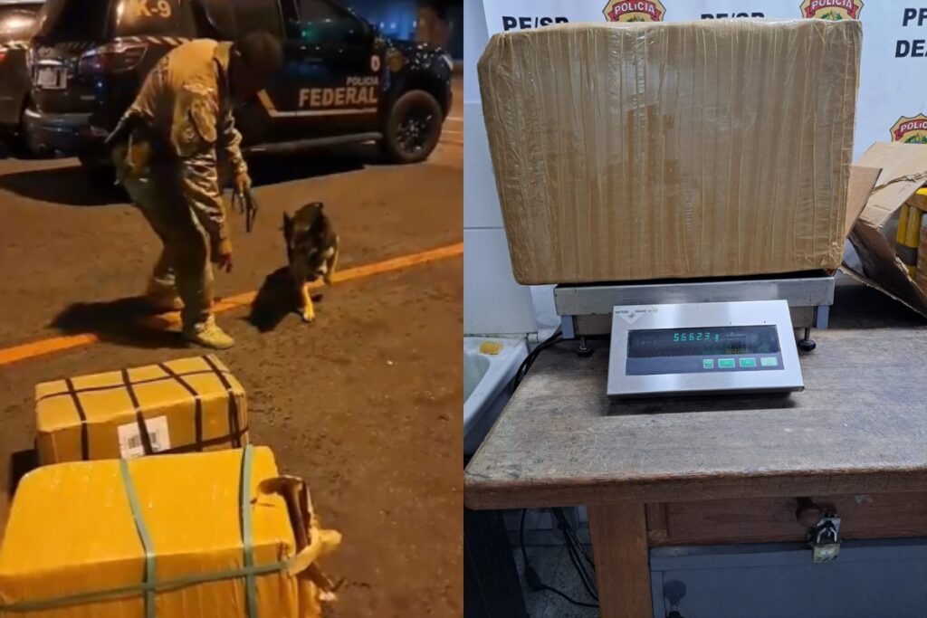 pf-intercepta-100-kg-de-cocaina-em-aviao-minutos-antes-de-decolagem.-veja-video