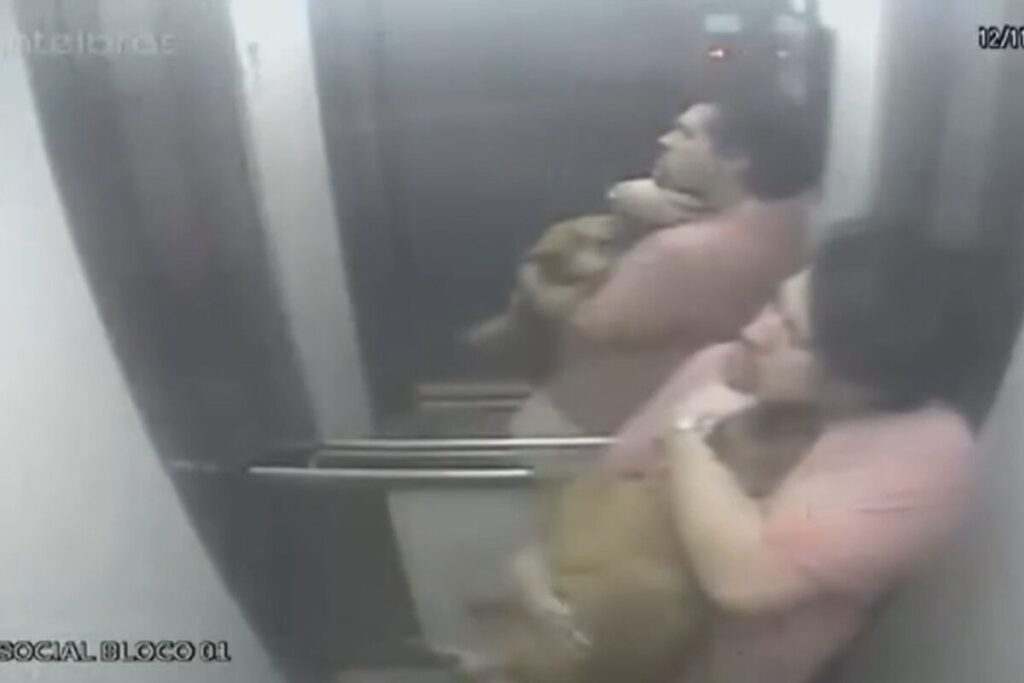 advogado-e-indiciado-por-morte-e-maus-tratos-a-filhotes-de-cachorro