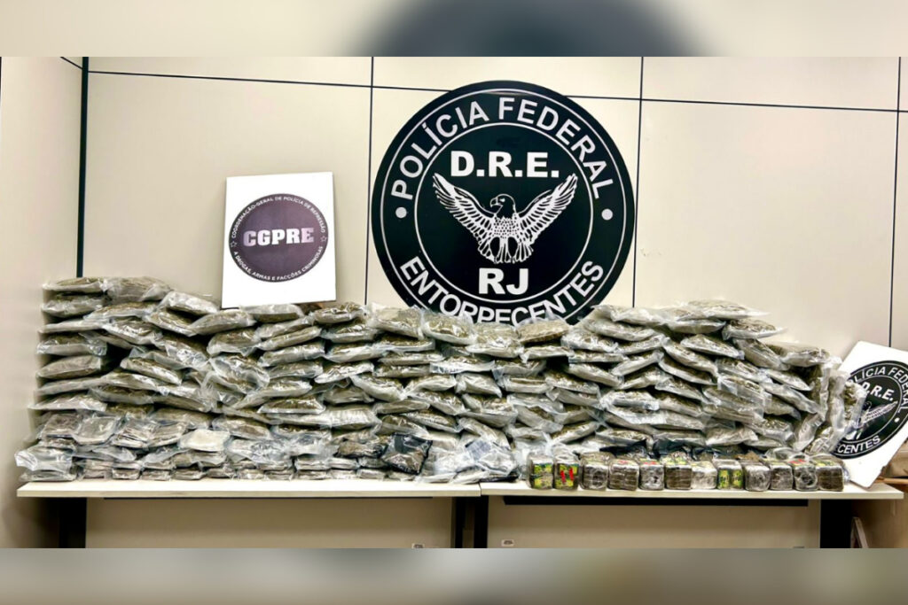 pf-apreende-100-kg-de-maconha-e-haxixe-em-caixas-de-papelao.-veja-video
