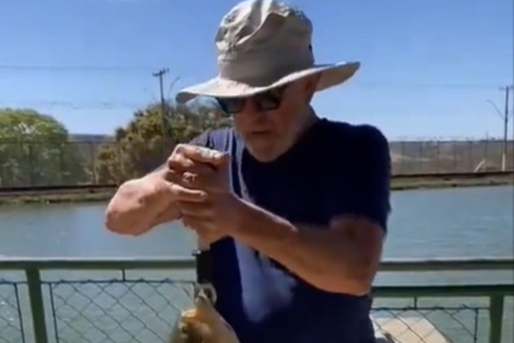 ate-lula-ja-reclamou-do-pirarucu,-peixe-considerado-“invasor”-no-df