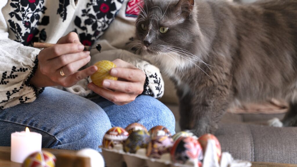 veterinaria-revela-alimentos-que-podem-intoxicar-os-pets-na-pascoa