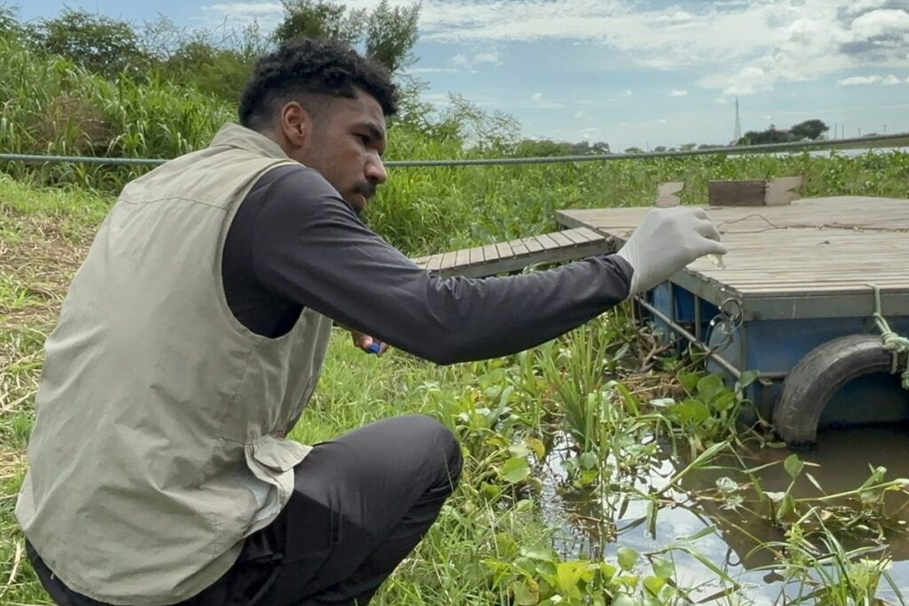 “muito-peculiar”,-diz-cientista-brasileiro-que-descobriu-virus-gigante