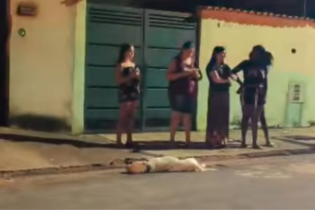 tutor-mata-pit-bull-a-facadas-apos-cao-escapar-e-atacar-idoso-em-sp.-video